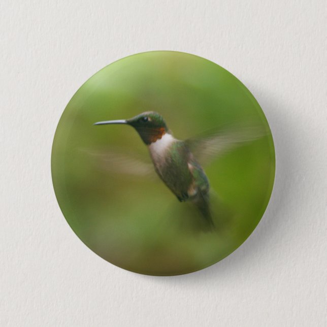 Badge Rond 5 Cm Bouton d'oiseau-colibri de Ruby-Homme (Devant)
