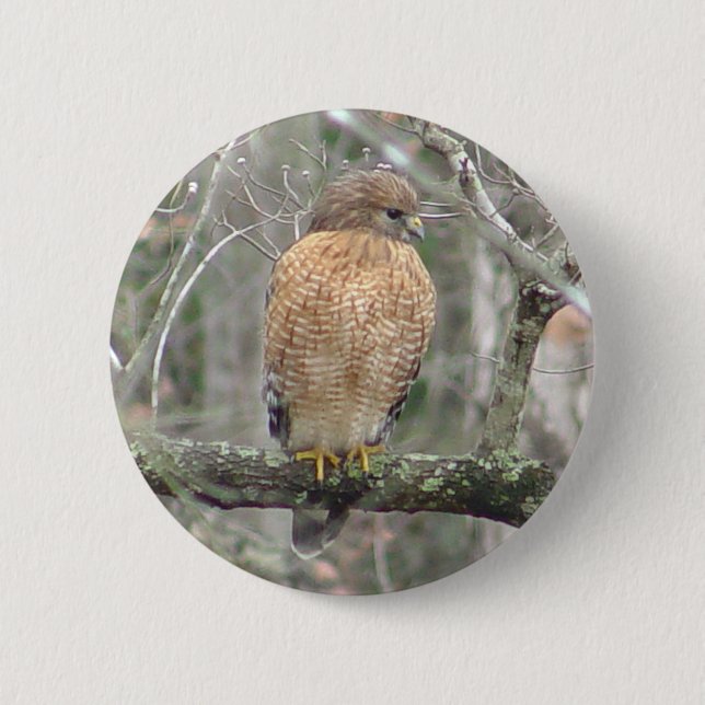 Badge Rond 5 Cm Bouton d'oiseau de faucon coupé la queue par rouge (Devant)