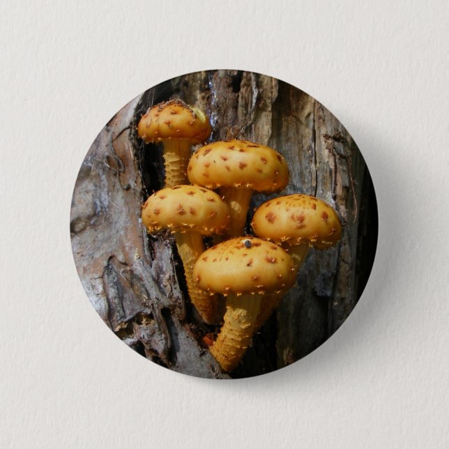 Badge Rond 5 Cm Bouton d'or de ~ de champignon (Devant)
