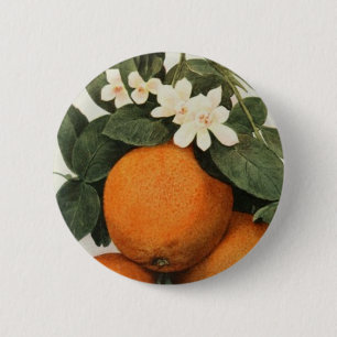 Badge Rond 5 Cm Bouton d'ORANGES