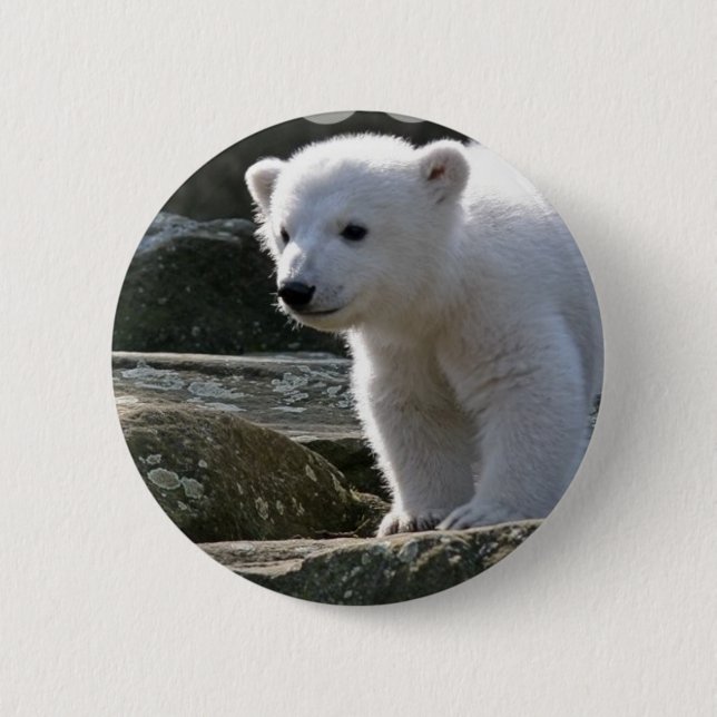 Badge Rond 5 Cm Bouton d'ours blanc de bébé (Devant)
