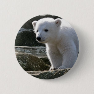 Badge Rond 5 Cm Bouton d'ours blanc de bébé