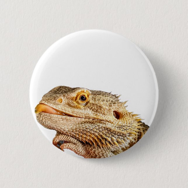 Badge Rond 5 Cm Bouton Dragon à oreilles (Devant)