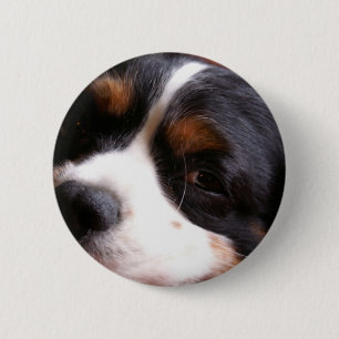 Badge Rond 5 Cm Bouton du Roi Charles Cavalier Spaniel Round