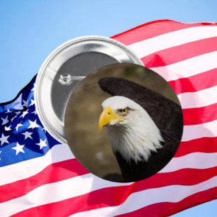 Badge Rond 5 Cm Bouton Eagle Gaze – Stable. Net. Libre.