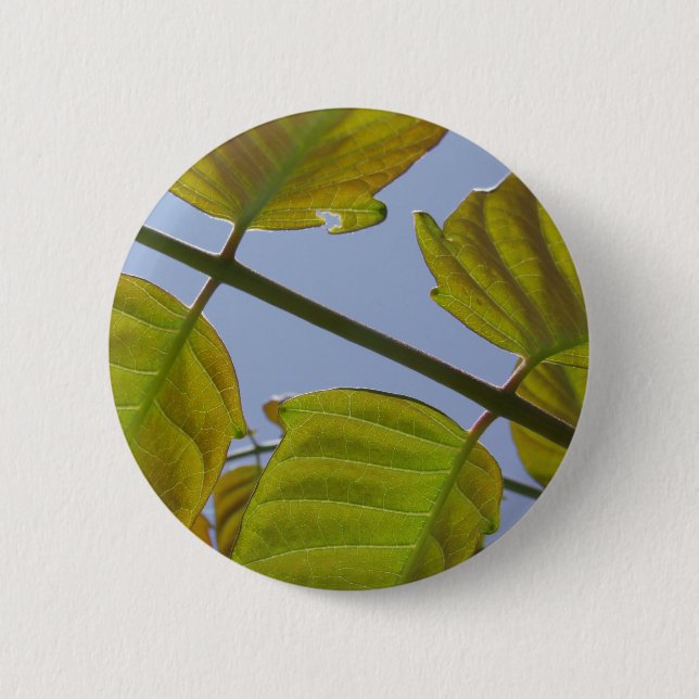 Badge Rond 5 Cm Bouton Feuille ressort (Devant)