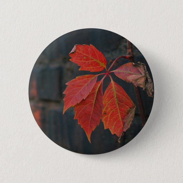 Badge Rond 5 Cm Bouton Feuille rouge (Devant)