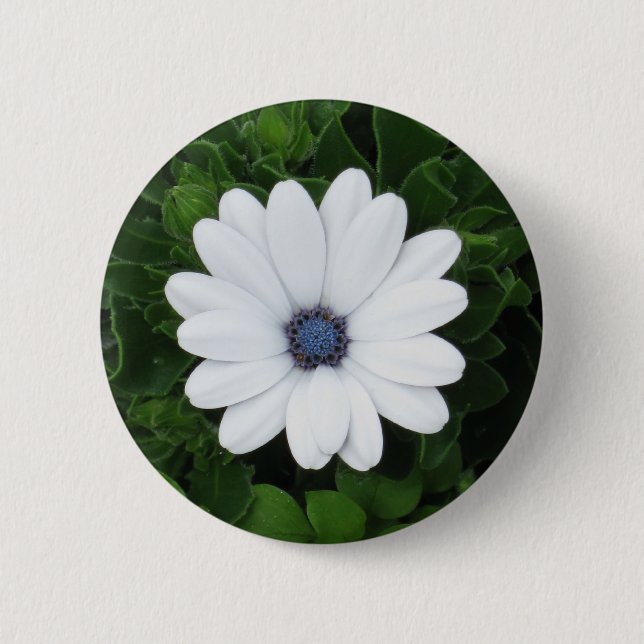 Badge Rond 5 Cm Bouton Fleur blanche (Devant)