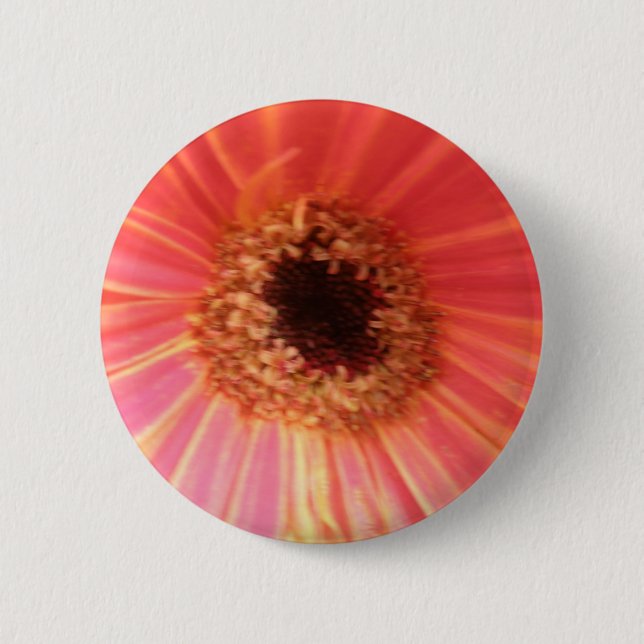 Badge Rond 5 Cm Bouton Fleur Gerbera Daisy (Devant)