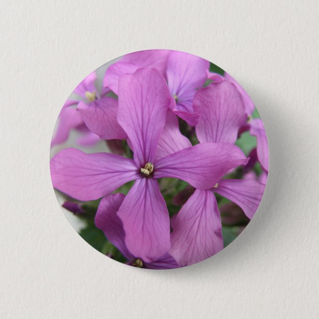 Badge Rond 5 Cm Bouton Fleur sauvage violet (Devant)