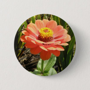 Badge Rond 5 Cm Bouton Fleur Zinnia orange