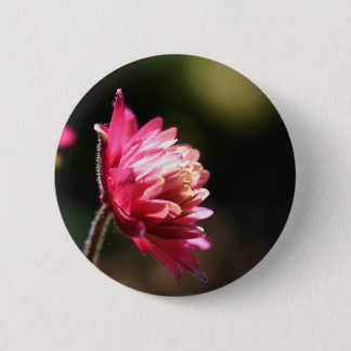 Badge Rond 5 Cm Bouton floral de lumière du soleil rouge de fleur