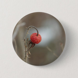 Badge Rond 5 Cm Bouton Fruit Rose sauvage