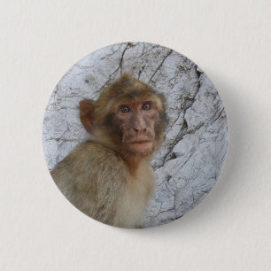 Badge Rond 5 Cm Bouton Gibraltar Monkey