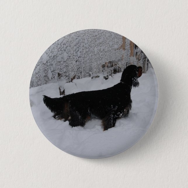 Badge Rond 5 Cm Bouton Gordon Setter (Devant)