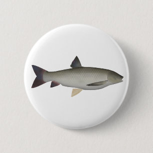 Badge Rond 5 Cm Bouton Grass Carp