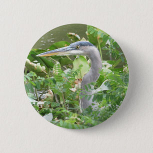 Badge Rond 5 Cm Bouton Great Blue Heron