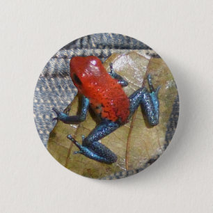 Badge Rond 5 Cm Bouton Grenouille aux Jeans bleus