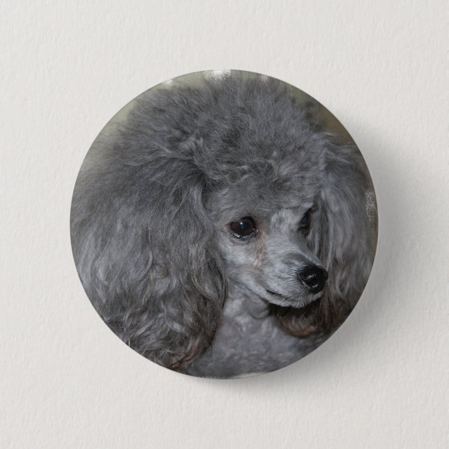 Badge Rond 5 Cm Bouton gris de caniche (Devant)