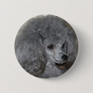Badge Rond 5 Cm Bouton gris de caniche