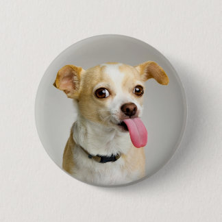 Badge Rond 5 Cm Bouton grossier de chiwawa