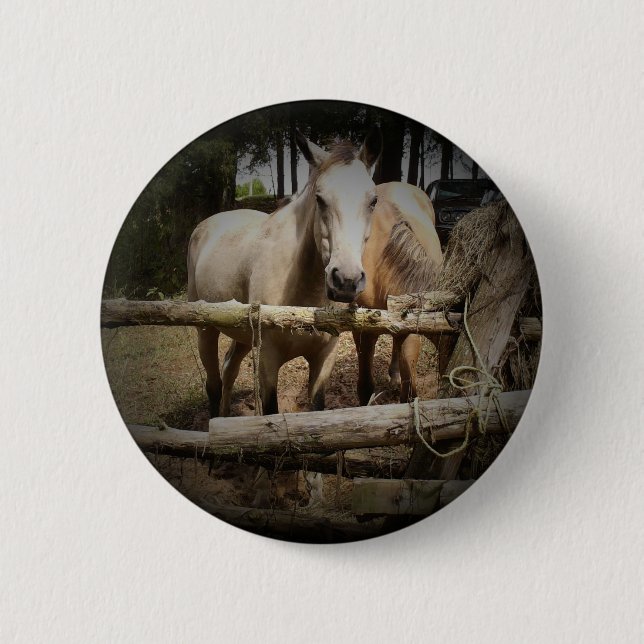 Badge Rond 5 Cm Bouton HORSE 1 (Devant)