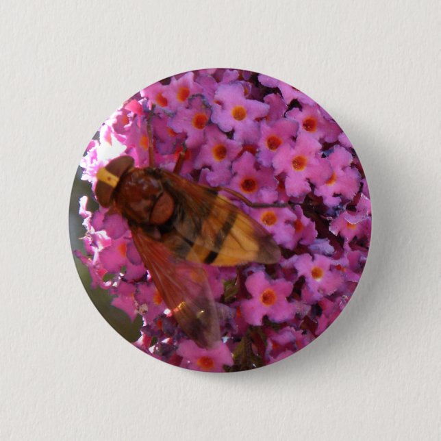 Badge Rond 5 Cm Bouton Hoverfly (Devant)