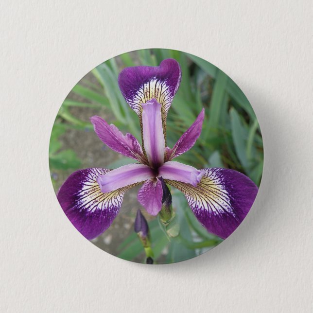 Badge Rond 5 Cm Bouton Iris violet (Devant)