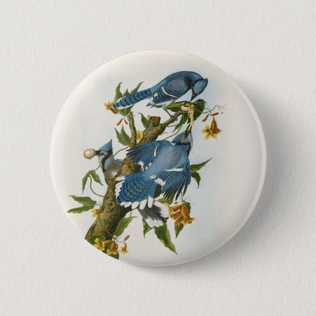 Badge Rond 5 Cm Bouton Jay bleu (Devant)