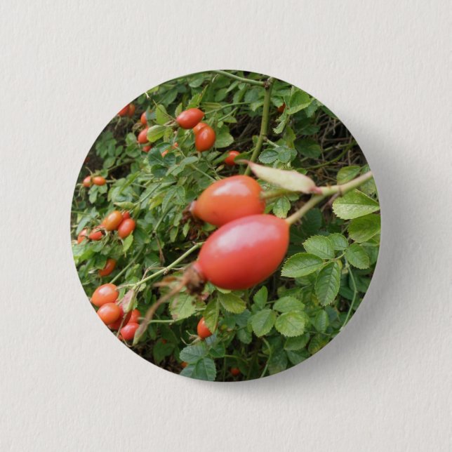 Badge Rond 5 Cm Bouton Juicy Red Rose Hips (Devant)
