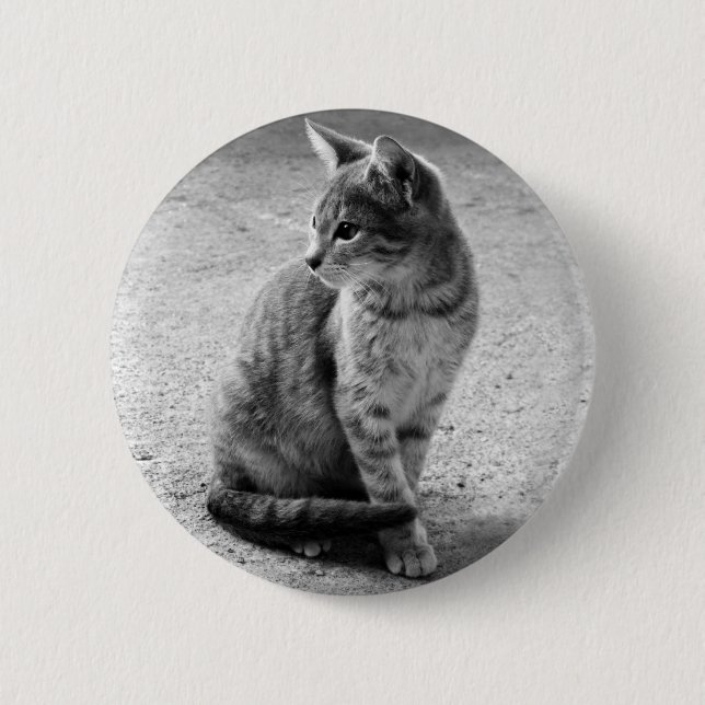 Badge Rond 5 Cm Bouton Kitten (Devant)