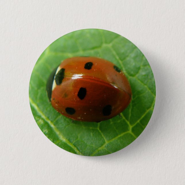 Badge Rond 5 Cm Bouton Ladybug (Devant)