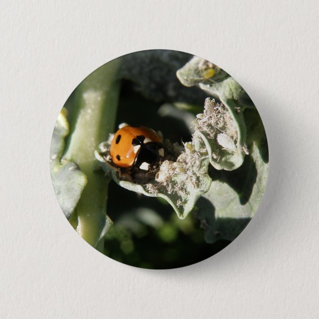 Badge Rond 5 Cm Bouton Ladybug à 7 emplacements britannique (Devant)
