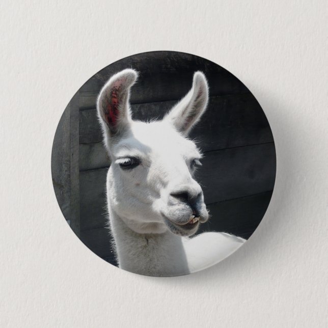 Badge Rond 5 Cm Bouton Lama Souriant (Devant)