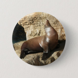 Badge Rond 5 Cm Bouton Lion de mer