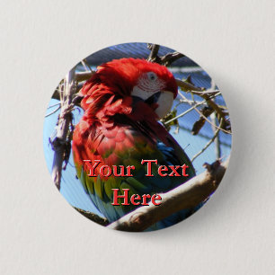Badge Rond 5 Cm Bouton Macaw