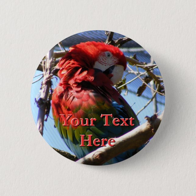 Badge Rond 5 Cm Bouton Macaw (Devant)