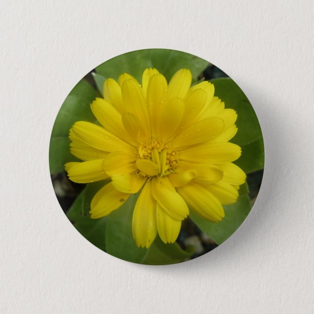 Badge Rond 5 Cm Bouton Marigold jaune vif (Devant)