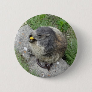 Badge Rond 5 Cm Bouton Marmot