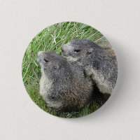 Bouton Marmot