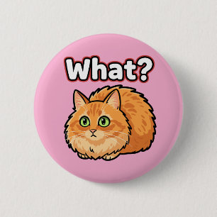 Badge Rond 5 Cm Bouton Mème Chat Roux Choqué Drôle Quoi?