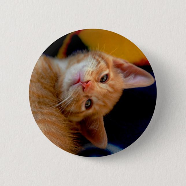 Badge Rond 5 Cm Bouton mignon de chaton (Devant)
