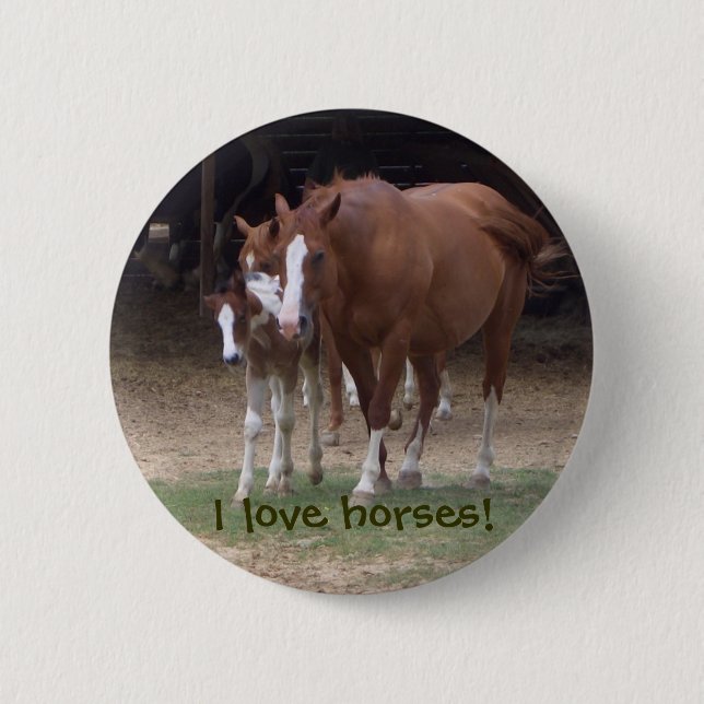 Badge Rond 5 Cm Bouton mignon de chevaux (Devant)
