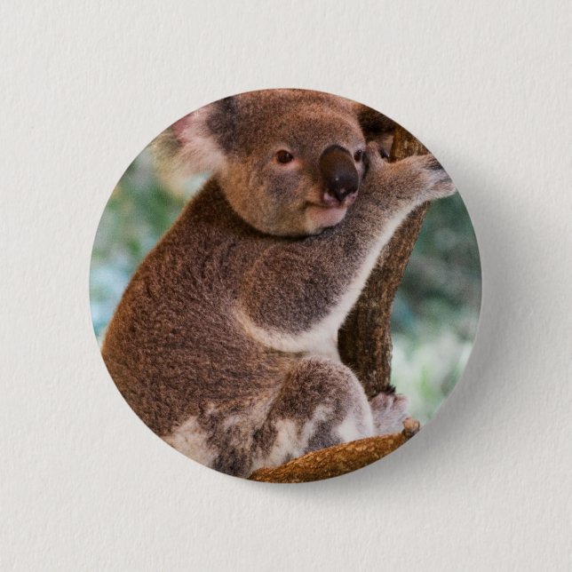 Badge Rond 5 Cm Bouton mignon de koala (Devant)