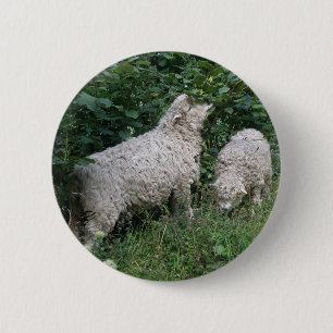 Badge Rond 5 Cm Bouton mignon Manger Feuille