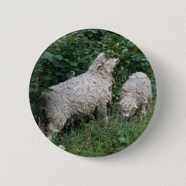 Badge Rond 5 Cm Bouton mignon Manger Feuille (Devant)