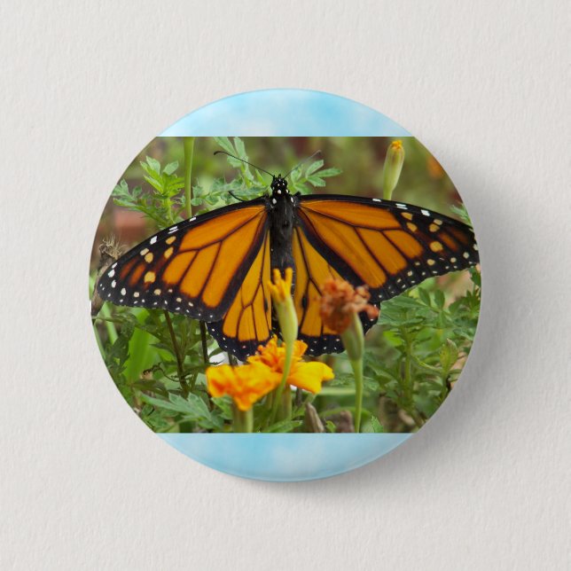 Badge Rond 5 Cm Bouton Mon papillon Monarque (Devant)