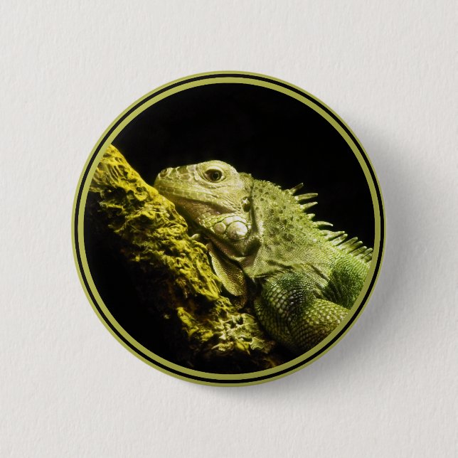 Badge Rond 5 Cm Bouton noble d'iguane (Devant)