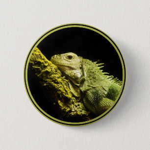Badge Rond 5 Cm Bouton noble d'iguane