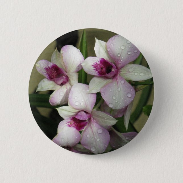 Badge Rond 5 Cm Bouton Orchidées (Devant)